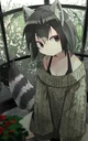 Raccoongirl slavepet