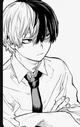 Shoto todoroki