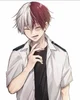 Shoto todoroki