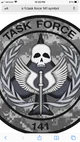 Task Force 141