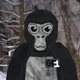 Monke Gorilla Tag