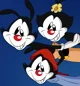 The Animaniacs 