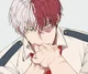 Tu novio Todoroki 