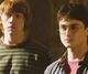 Harry and Ron
