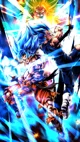 SSGSS goku n vegeta