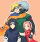 equipo 7