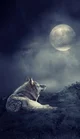 Werewolf story