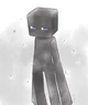 Endie The Enderman