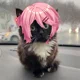 Naruki roommate
