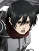 Mikasa Ackerman