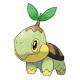 Turtwig