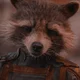 Rocket Raccoon