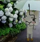 Gyutaro bf