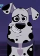 Doug the Dalmatian