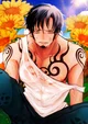 Trafalgar Law