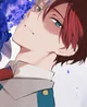 Shoto todoroki 