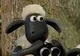 Wedus Shaun