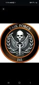 Task force 141