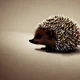 Baby Hedgehog RPG