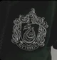 Slytherin gang 