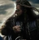 Thorin Oakenshield