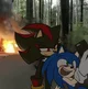 Sonic and Shadow