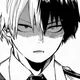 Shoto Todoroki
