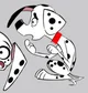 Dylan Dalmatian