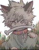 Baby wolf Katsuki