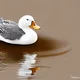 Duck generator
