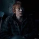 Ron Weasley 