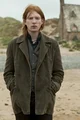 bill weasley