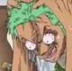 Zoro