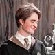 cedric diggory