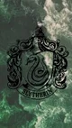 Slytherin fight