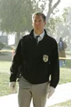tony dinozzo