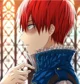 Prince Todoroki