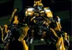 Bumblebee -2007-