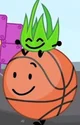 Basketball TPOT