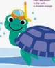 Neptune the Turtle