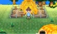Acnl