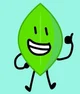 Leafy BFB