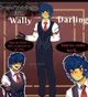 DweirdCore Wally