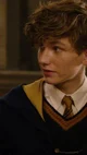 Newt Scamander