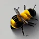 Playful Bee