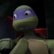 Donatello Hamato
