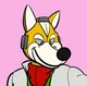 Fox McCloud suit 