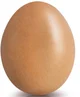 Egghatch