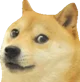 doge