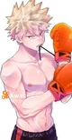 Bakugo boxeador